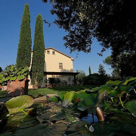 Agriturismo Le Vallette บิบโบนา ภายนอก รูปภาพ