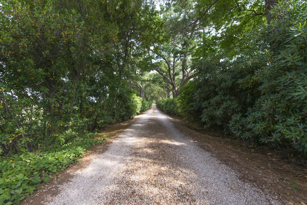 Agriturismo Le Vallette บิบโบนา ภายนอก รูปภาพ