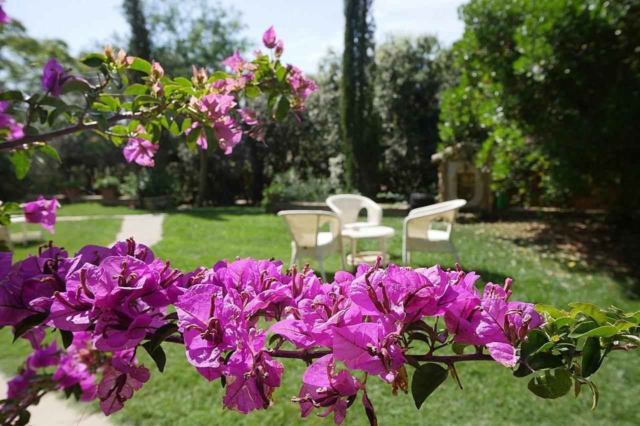 Agriturismo Le Vallette บิบโบนา ภายนอก รูปภาพ