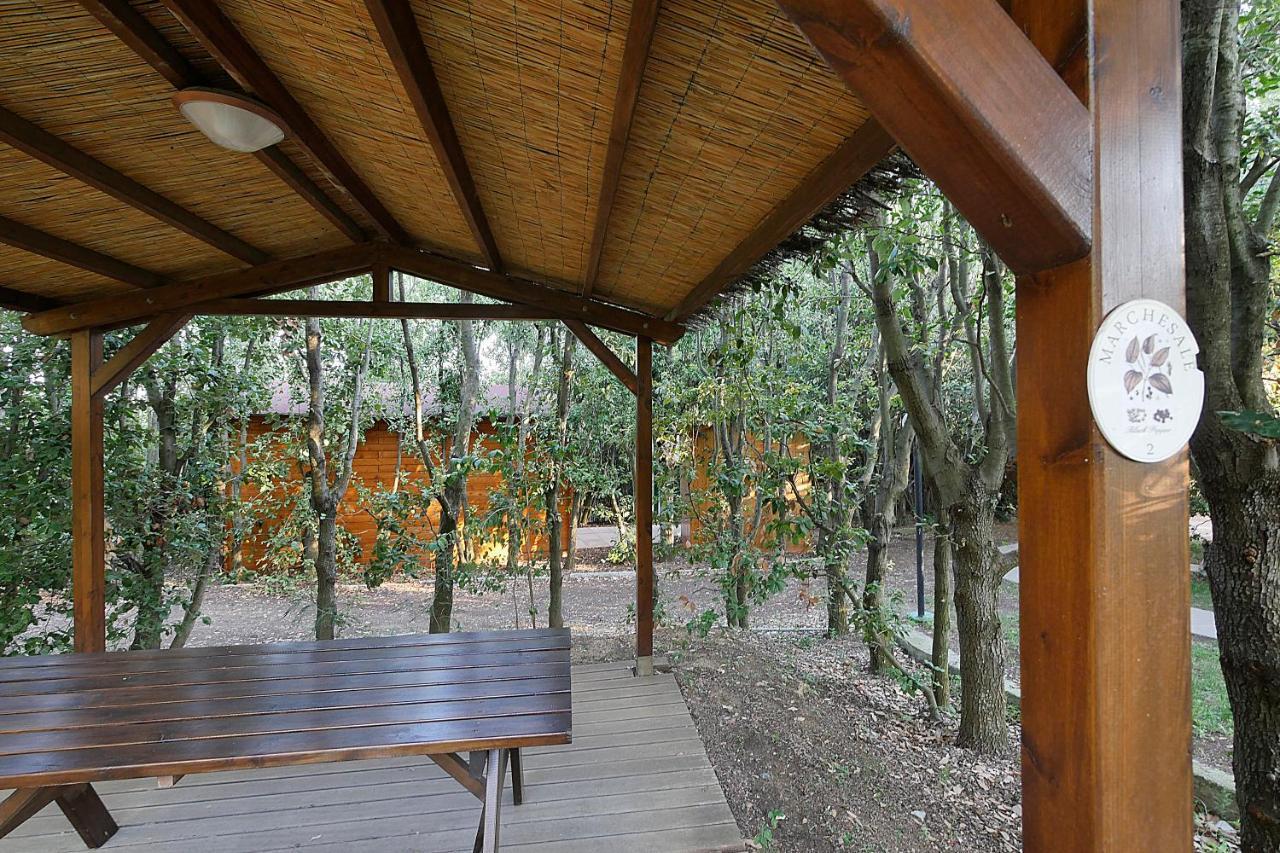 Agriturismo Le Vallette บิบโบนา ภายนอก รูปภาพ