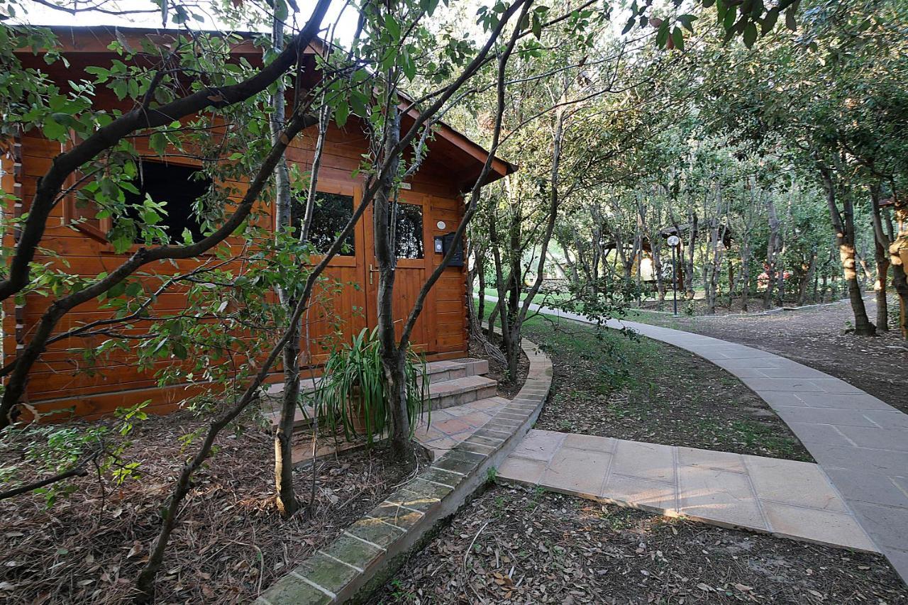 Agriturismo Le Vallette บิบโบนา ภายนอก รูปภาพ