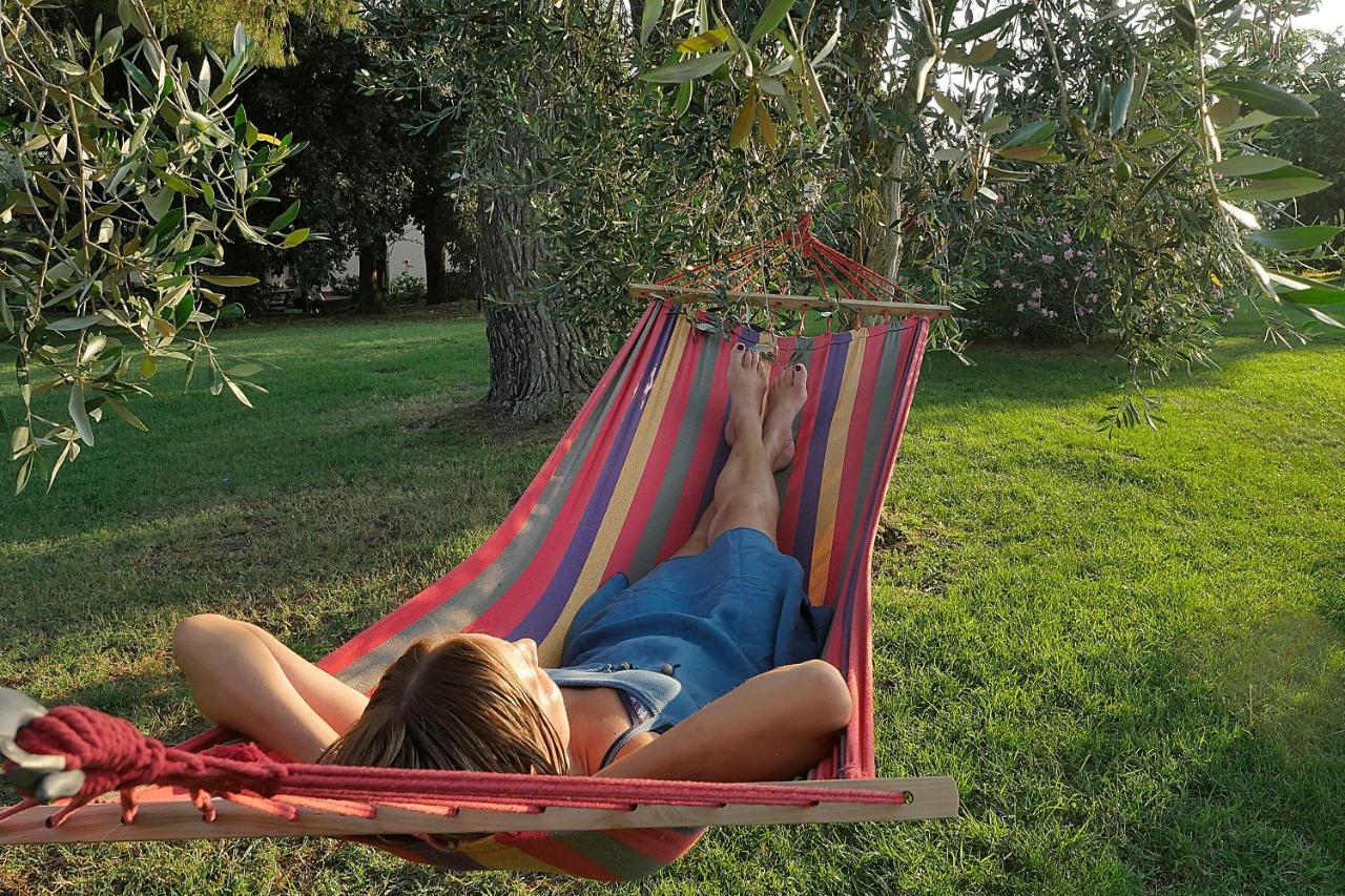 Agriturismo Le Vallette บิบโบนา ภายนอก รูปภาพ